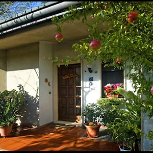 Oasi Di Velence